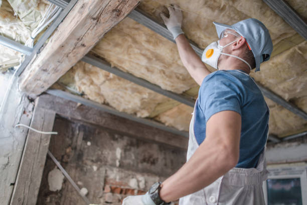 Best Blown-in Insulation in Central City, KY