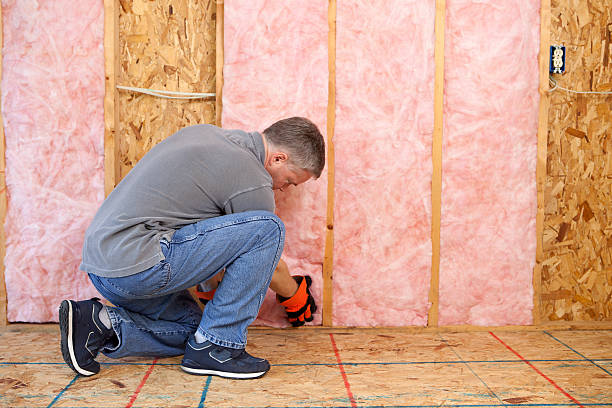Best Specialized Insulation Services in Central City, KY